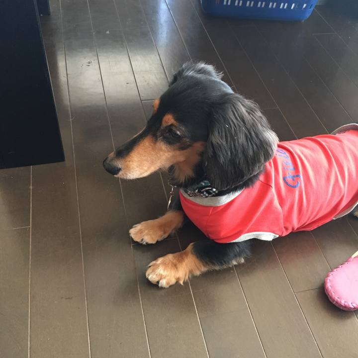 5d54a4c2 2b8b 4baa 96d8 45e2c8bbee95 1513480751544