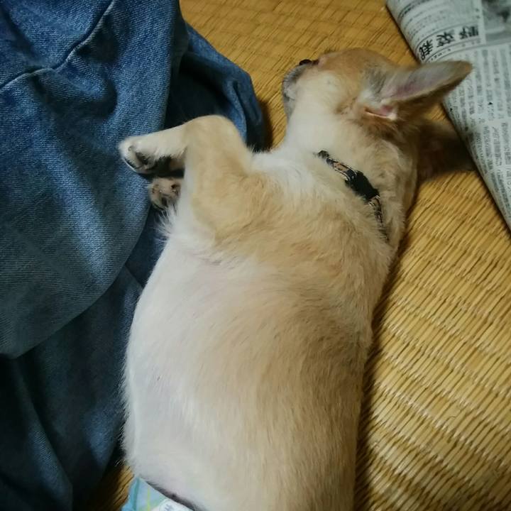 5d54ab25 7e38 48d9 92c6 7010f4e68d50 1537700454579