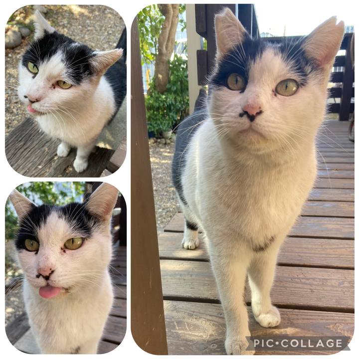 5d54b210 26bb 439b 82b5 ac8fffd0037e 1771664198347