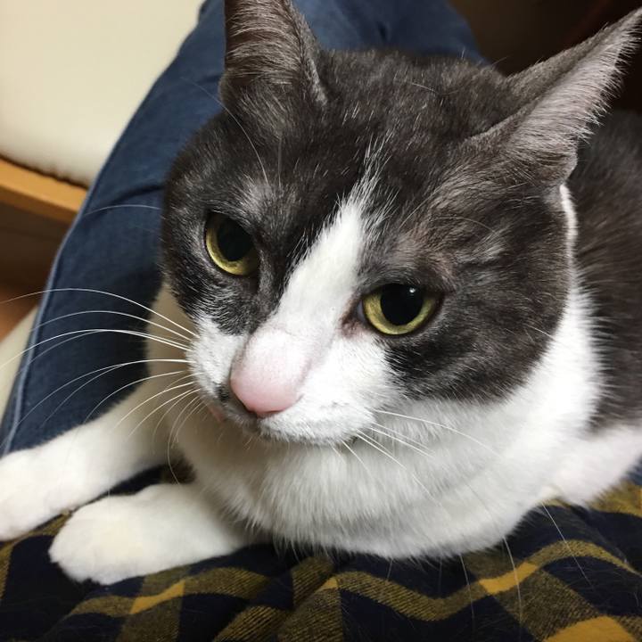 5d54bb87 9dc8 4072 abb4 0a150a224b41 1514990002595