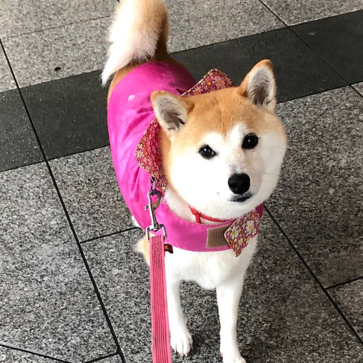 5d54bee3 5a26 4e8a 9dad c270d12e29f2 1594251877907