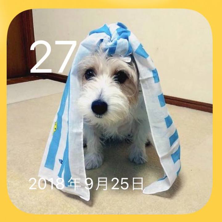 5d550104 bc2a 4292 8784 56926b62e49b 1664236459055