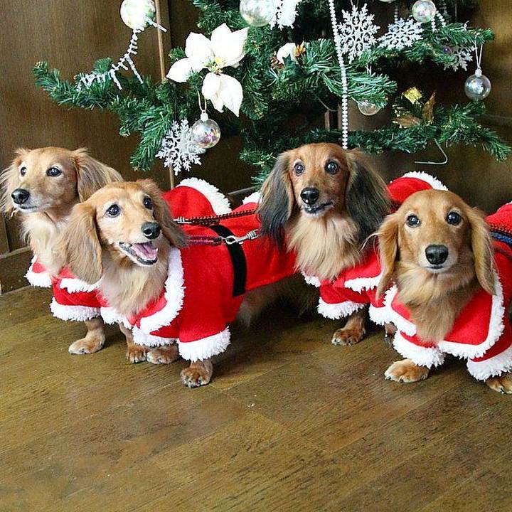 5d553e7e e248 4344 82f8 b7c96b11beab 1766573855272