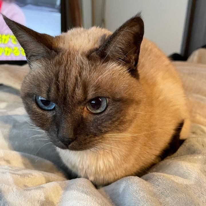 5d554b77 b8b7 425e b509 03258e1c9710 1770024934123