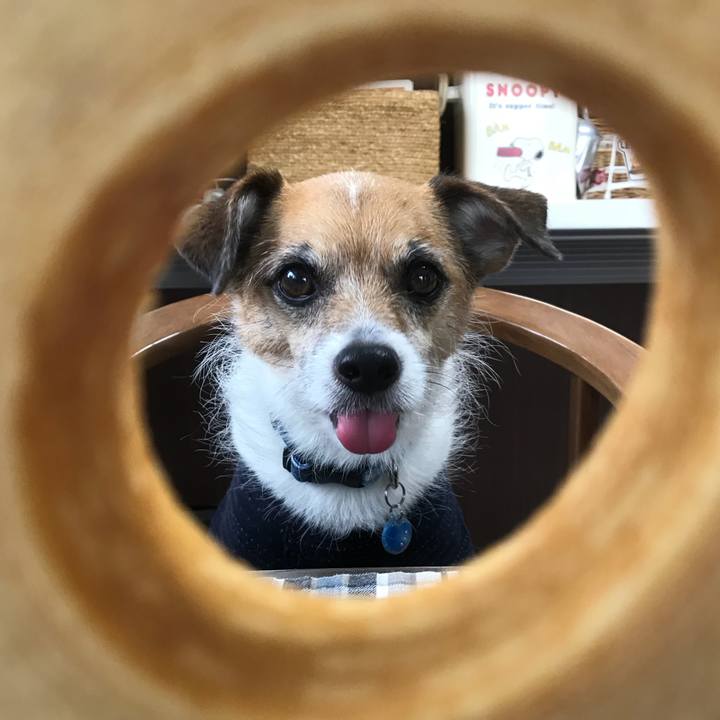 5d557313 4f35 4237 b29e 540b5f104133 1528267679997