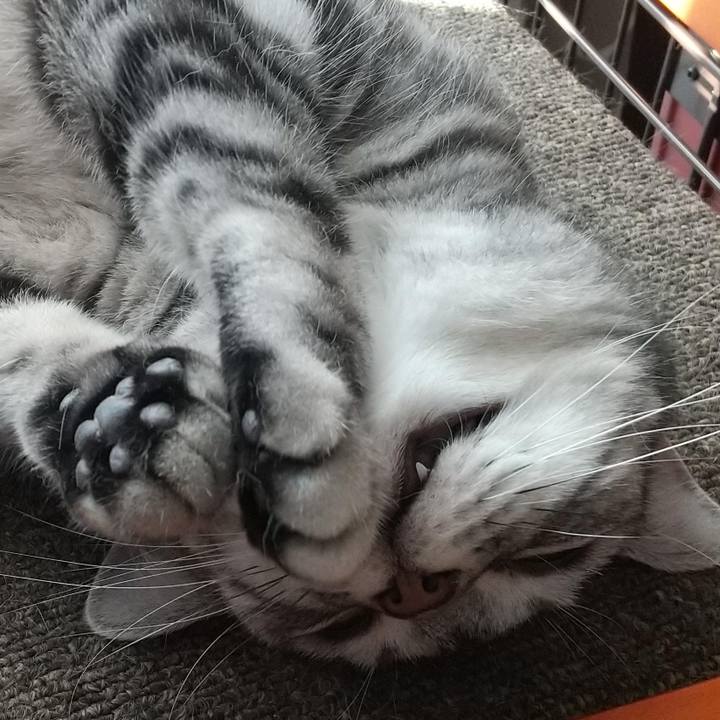 5d559819 c5ef 42cc 8b3b ab84c39171e6 1716691577433