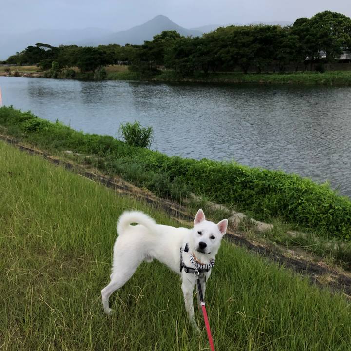 5d55bdf6 5e6f 4cc9 b5e7 9e861f7a5b6b 1534286740031