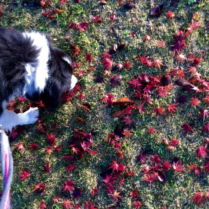 5d55d586 ad89 4d82 869d 982fd073a249 1543536573437