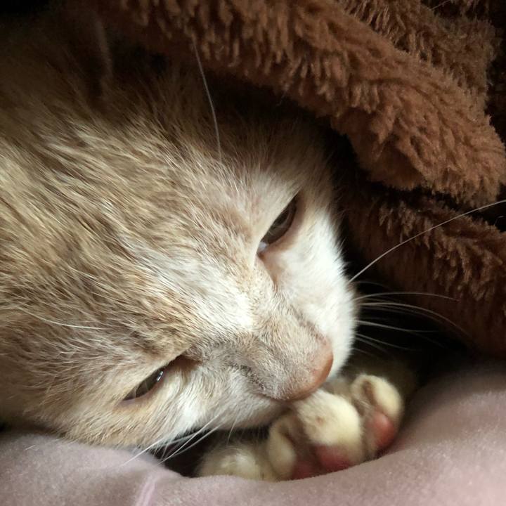 5d560193 eb8d 4fdb a9f9 4d147d1ff803 1616922277542