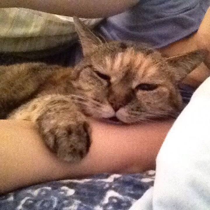 5d5642de f9b1 494d b783 f85c3a1edd11 1518522678143