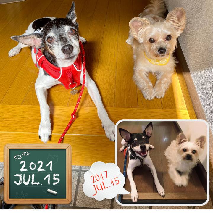 5d5664b8 be18 4884 b2f2 658f7a168607 1626310305388