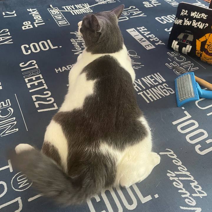 5d56b5d7 daa6 44e7 82b0 77d8410407b1 1692495638414