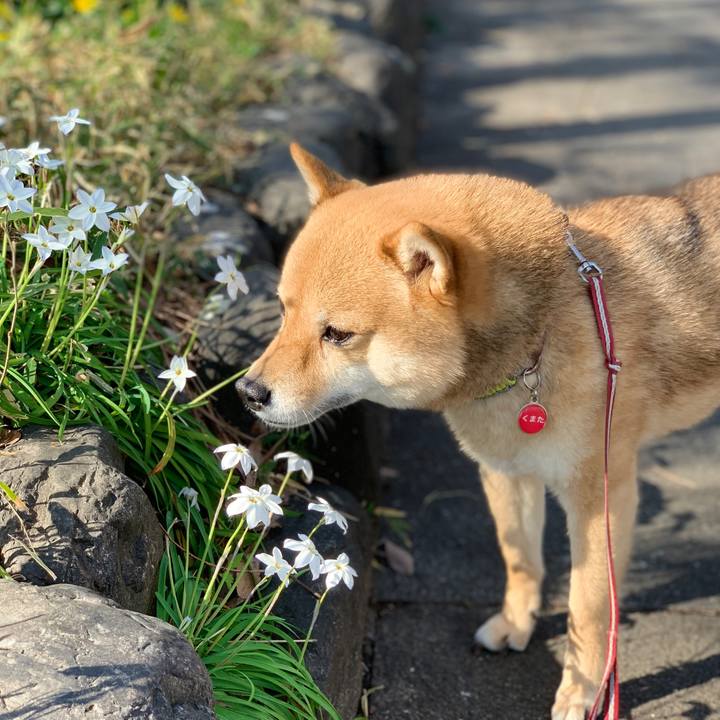 5d56be95 9e4d 41e6 acfa ae72f73452ea 1774074517929