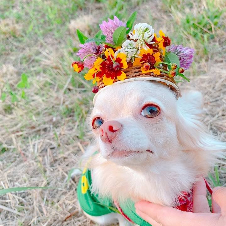 5d56ca71 9d0a 416d 9069 0c5f5be4c533 1623329967241