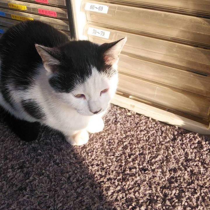 5d56e63f b615 41de 9264 3649fff1d429 1576798929870