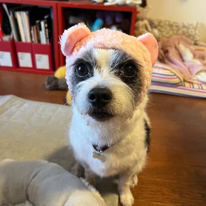 5d571d21 097b 46fe 8969 3fb8e429751b 1739249955103