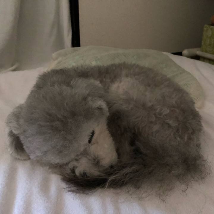 5d5725f2 c97c 4f47 96cb fa3c3978519e 1570928771424