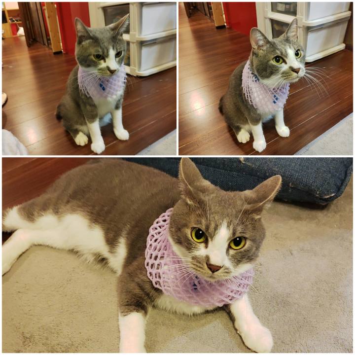 5d5743e7 f48c 4713 92f0 5514fd549ca1 1664707928819