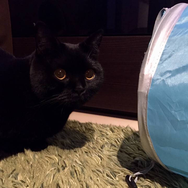 5d5777af e119 4499 93c3 e0310df5a20d 1544621642980