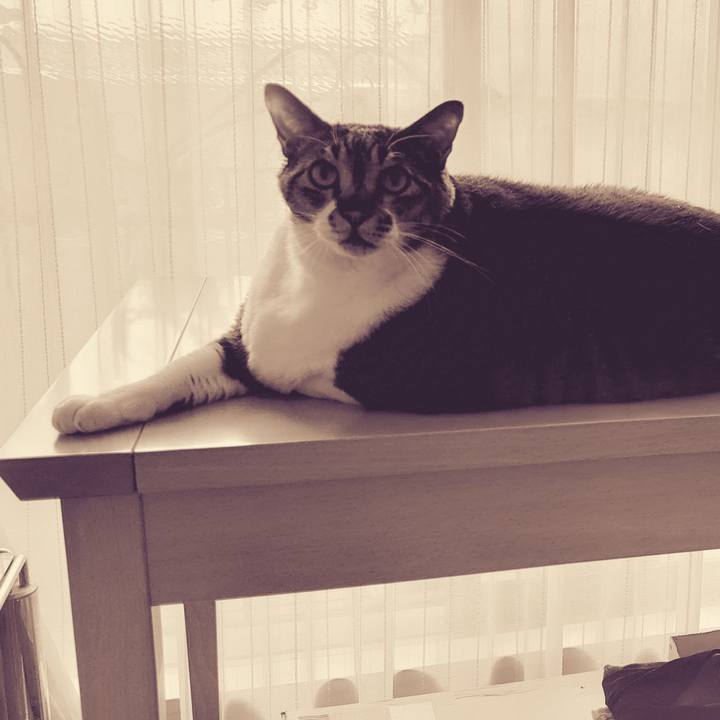 5d5795f8 d0ab 49df a812 8428396cd065 1651804283328