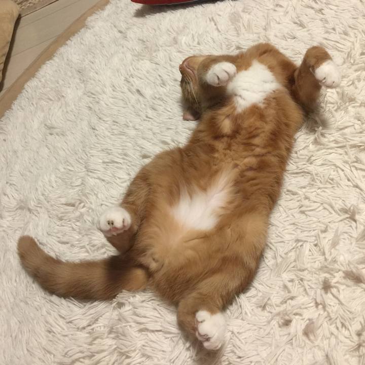 5d580647 7753 45be b246 1247cd7d8fc0 1558193573686