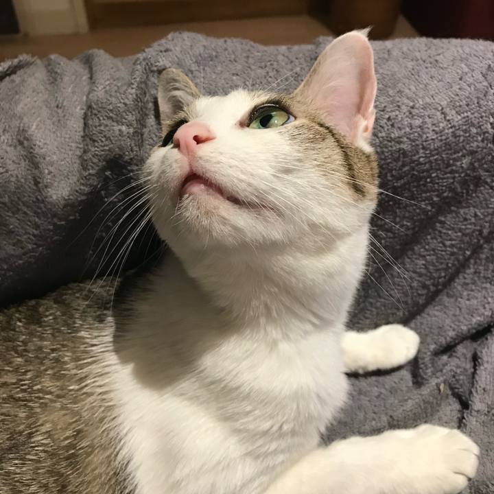 5d5814f3 89e0 4a87 90ae 7ec38a8a2c81 1669427308170