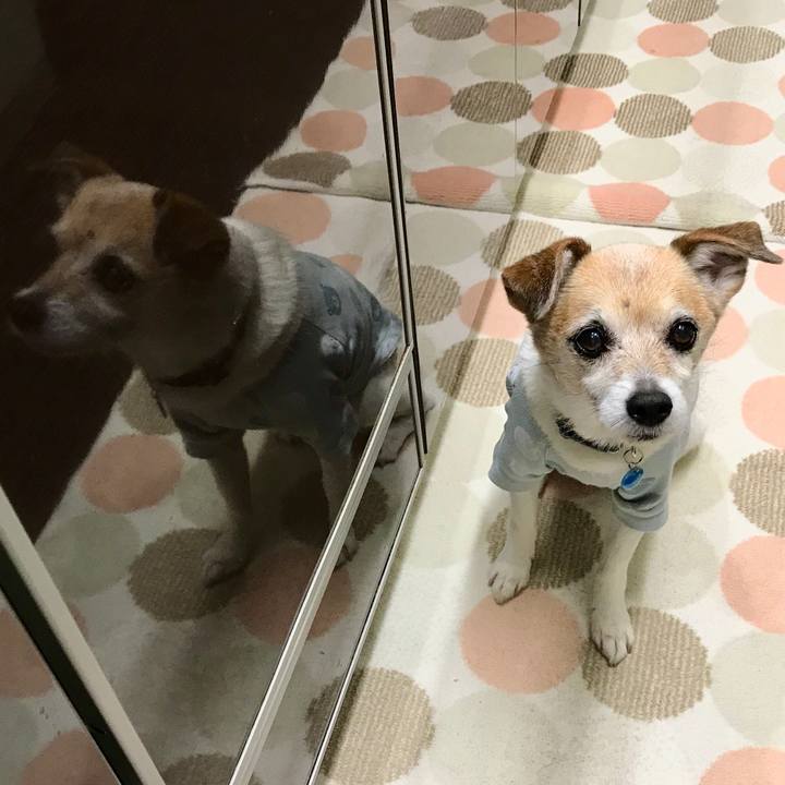 5d583bf1 cbf6 4990 899b a97ca44ac8d1 1653381903357