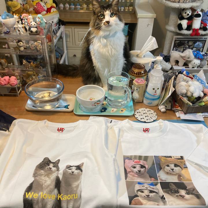 5d5890a3 1ff9 48a8 a229 ea4cf23165cd 1763761253615