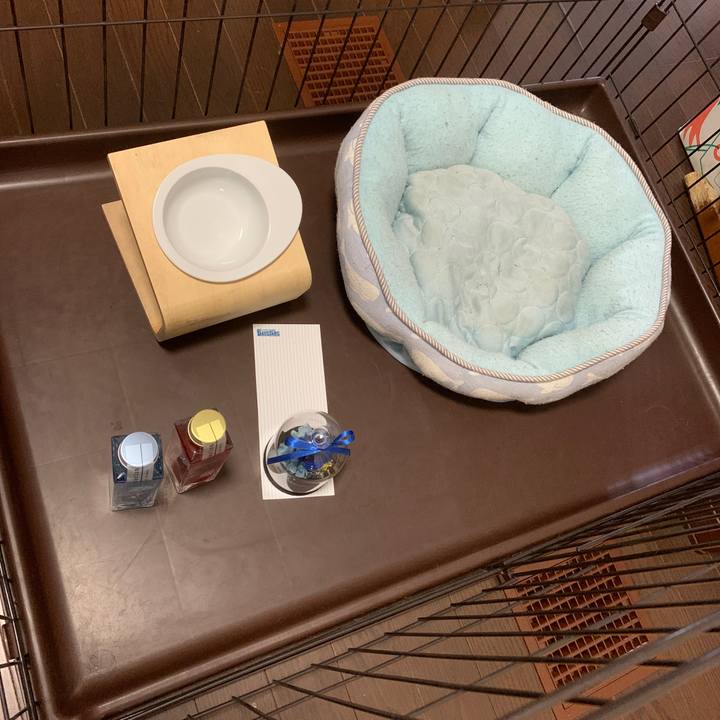 5d589276 b24b 4e2a bbf3 52aff0858bf4 1662867970835