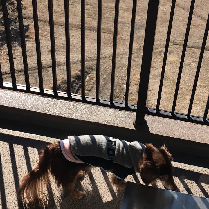 5d58b79d e93f 432a ba01 30694905ef3c 1517965434622