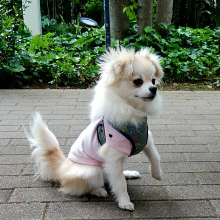 5d59246c 738e 449a be59 688c54d160ed 1619924455497