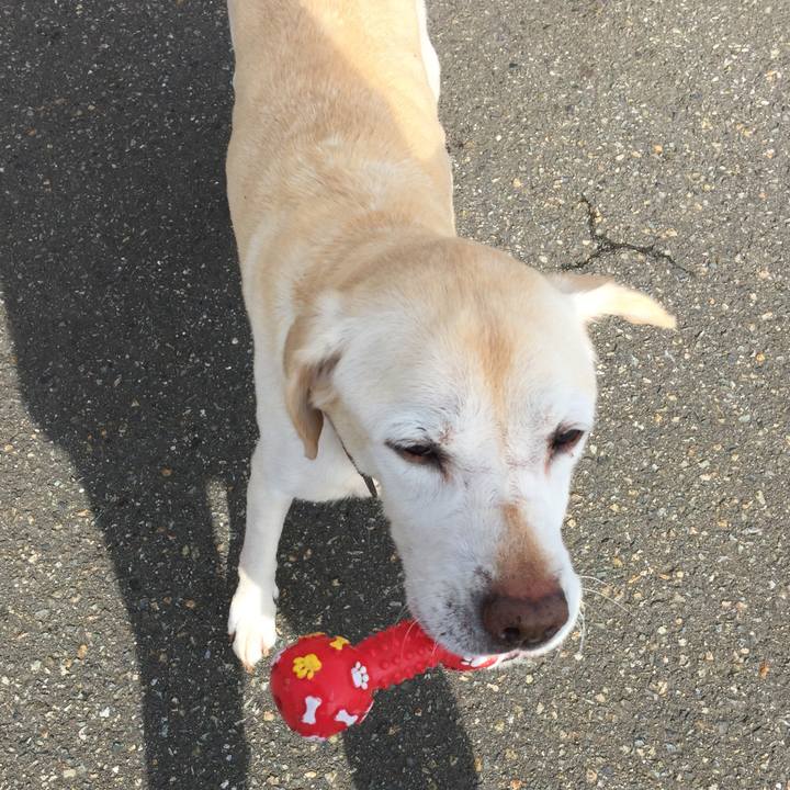 5d592fce 34b6 412f 845c 13d5d4d1e7b8 1614729928678