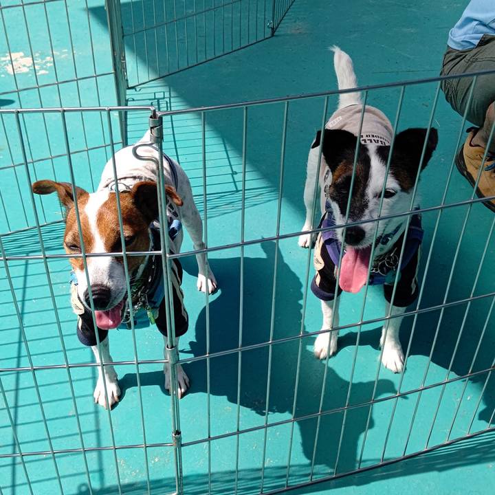 5d59395a 427c 4957 ad81 78dc6e3425dc 1664090019817