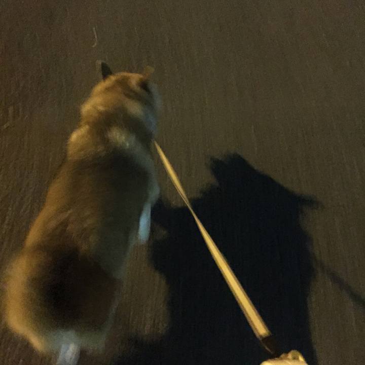 5d593e58 ab75 4323 ab11 1c8db59e8f9b 1534767687864