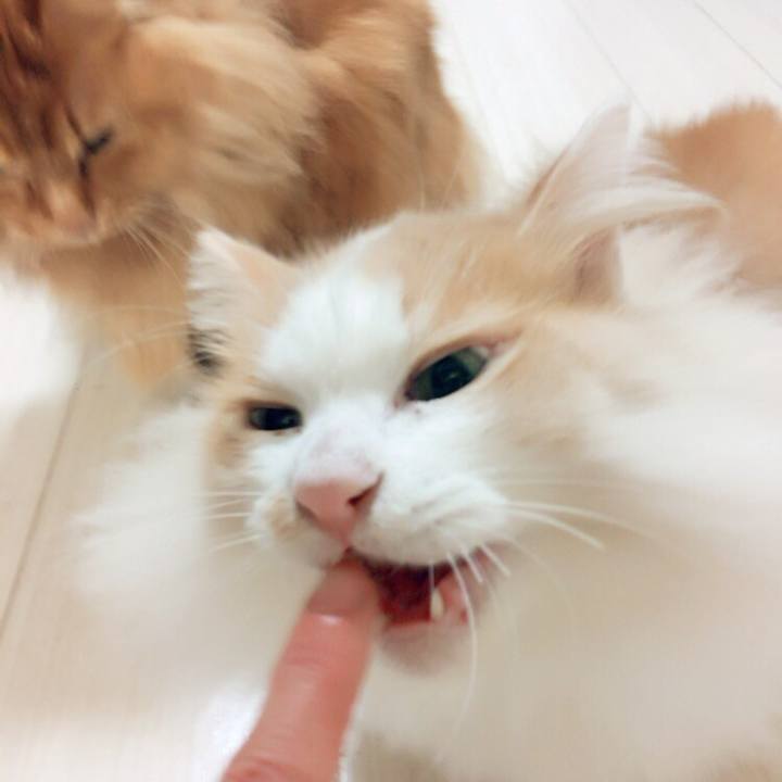 5d597f82 ccef 4610 92d5 1b3aa9017d1b 1510694215545