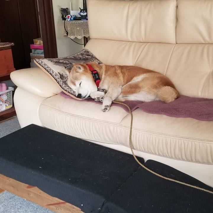 5d5991b5 a211 4255 8b39 83e04e8be7ec 1713655445121