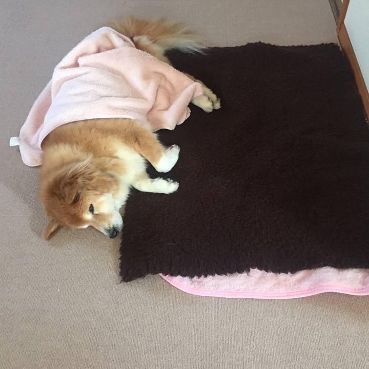 5d599b0f e433 48f9 b3ae 9a0c110e1f6e 1535983722742