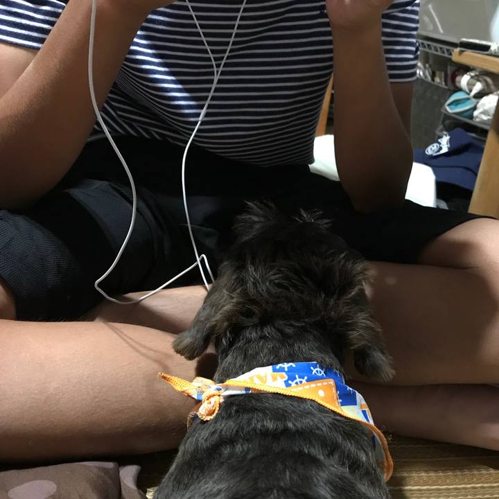 5d59a556 8533 458d ac55 ecc3fe3f9e13 1534082256425