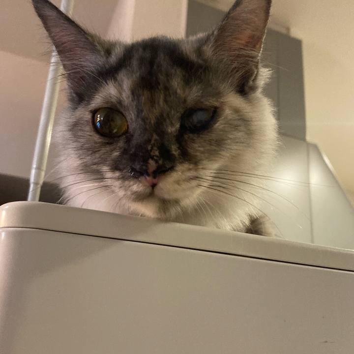 5d59dc0e b65a 4a2f b64e b5e4f6230af1 1700389105899