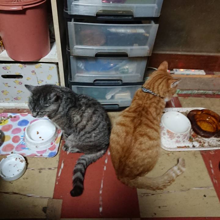 5d5a07ed 3e7c 4a38 af35 5d71a9766f48 1571218452609