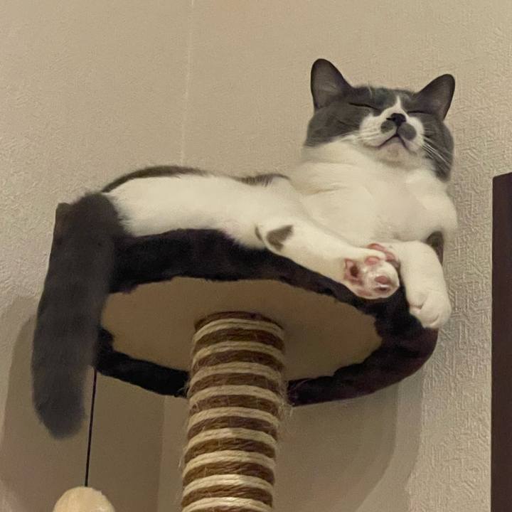 5d5a4c88 9bb2 4060 bcd6 2d36f232483c 1692974613389