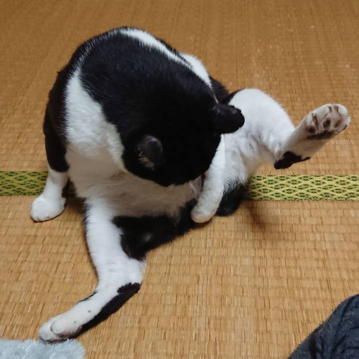 5d5a8c79 513b 4deb 9776 338e28bb017c 1540179219577