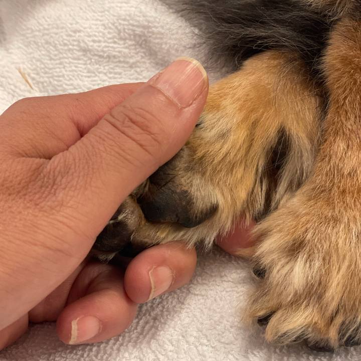 5d5a9722 6163 47da 9b9d 7da9ccc3f266 1765075701472