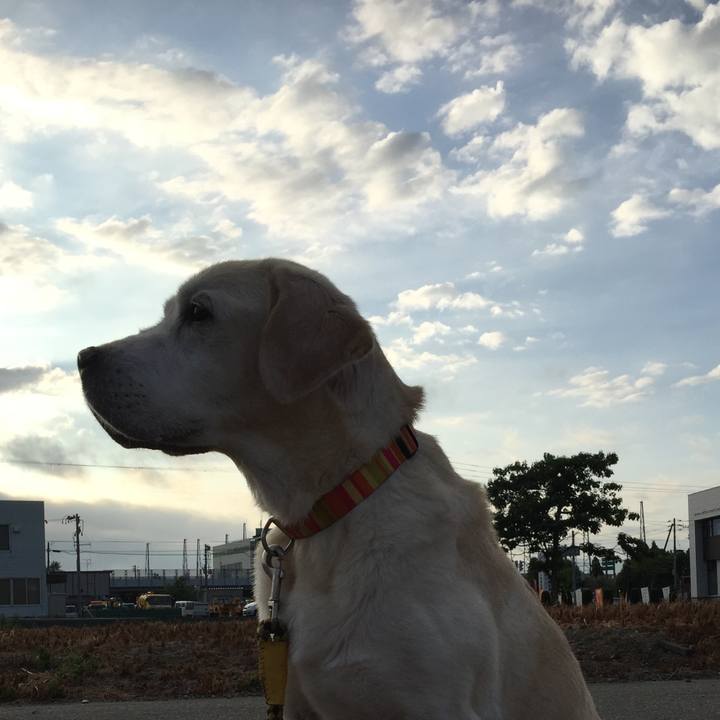 5d5ae820 34c5 4dc3 b0db d25f312db075 1533594177081