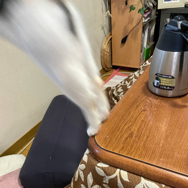 5d5b1daf 115a 4447 9868 0c5c7357c946 1669068919554