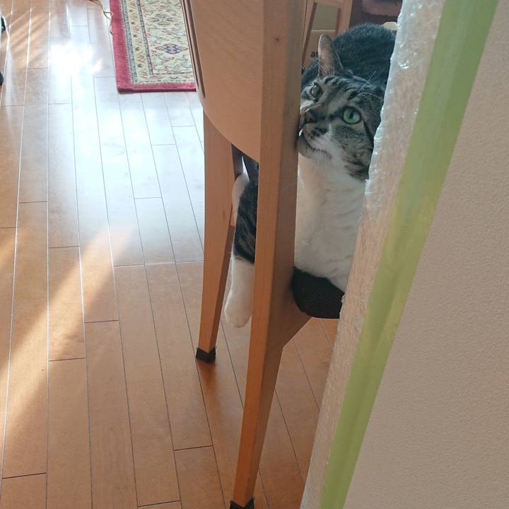 5d5b3fda 250b 4f14 985c 0436454b6ba2 1574294196287