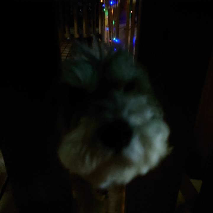 5d5b4b50 1b15 4a6f a579 7e8cb20e2602 1769767727187