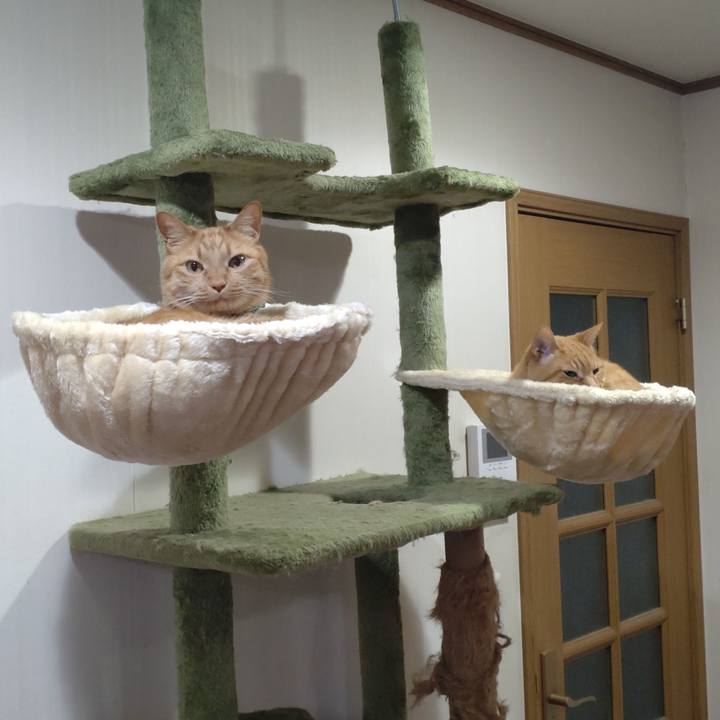 5d5b4b92 7afc 42f8 81a5 f556f5203c1c 1746163714285