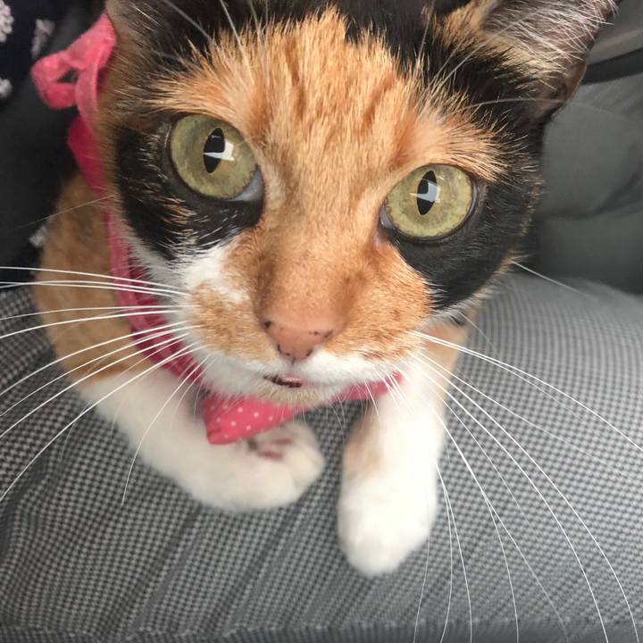 5d5b61a4 fce9 475c 9296 aa6243d3b2de 1566277905481