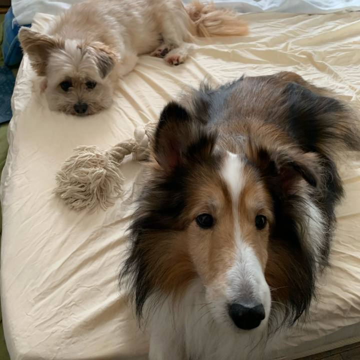 5d5b7481 7d62 4f3d 8588 092827e27ec9 1574841498553